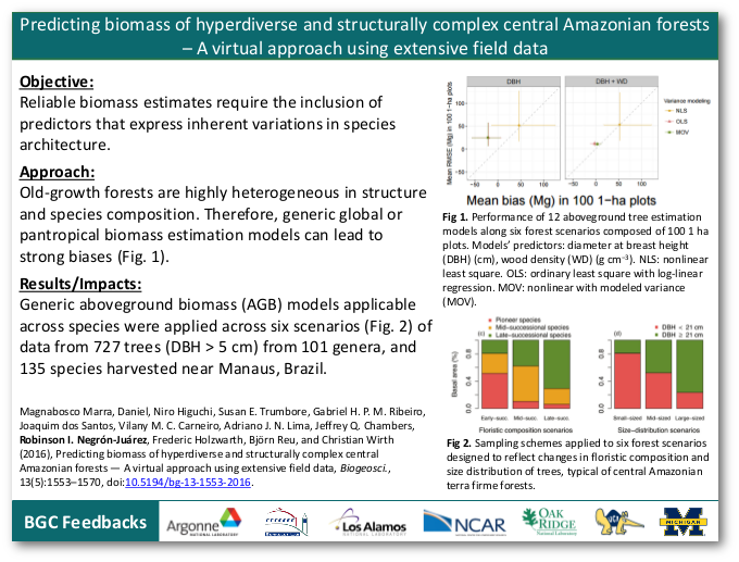 Predicting biomass of hyperdiverse and structurally complex central Amazonian forests -- A virtual approach using extensive field data