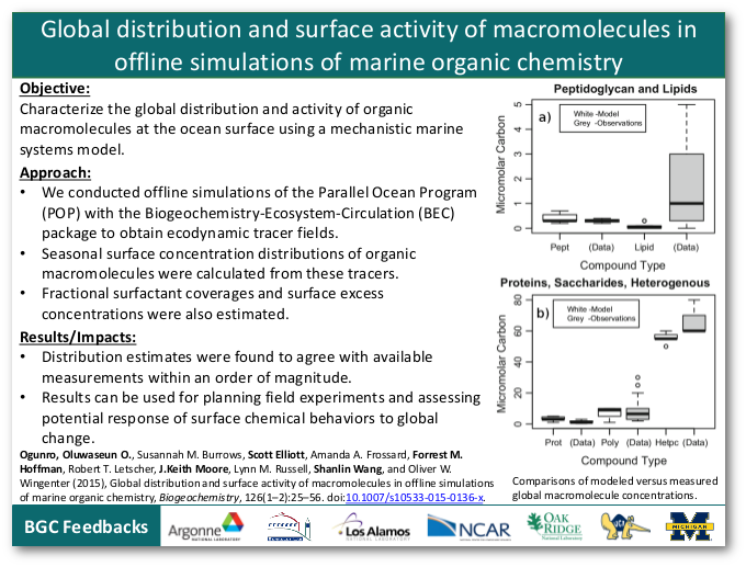 Global distribution and surface activity of macromolecules in offline simulations of marine organic chemistry