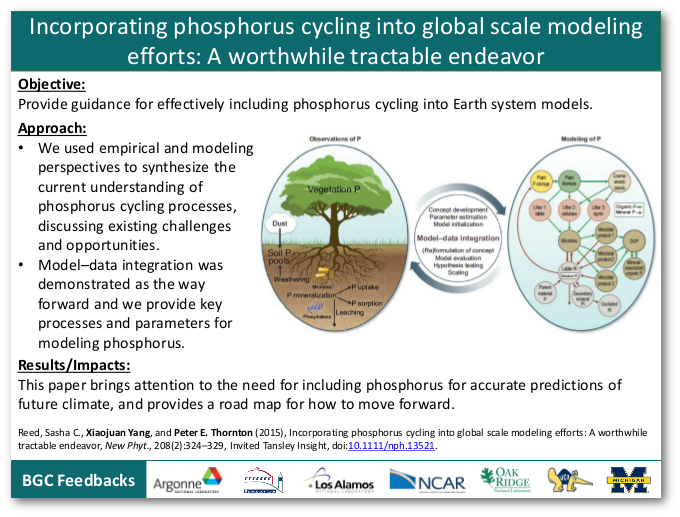 Incorporating phosphorus cycling into global scale modeling efforts: A worthwhile tractable endeavor