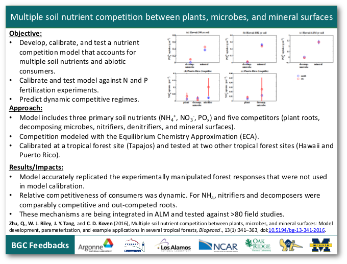 Multiple soil nutrient competition between plants, microbes, and mineral surfaces