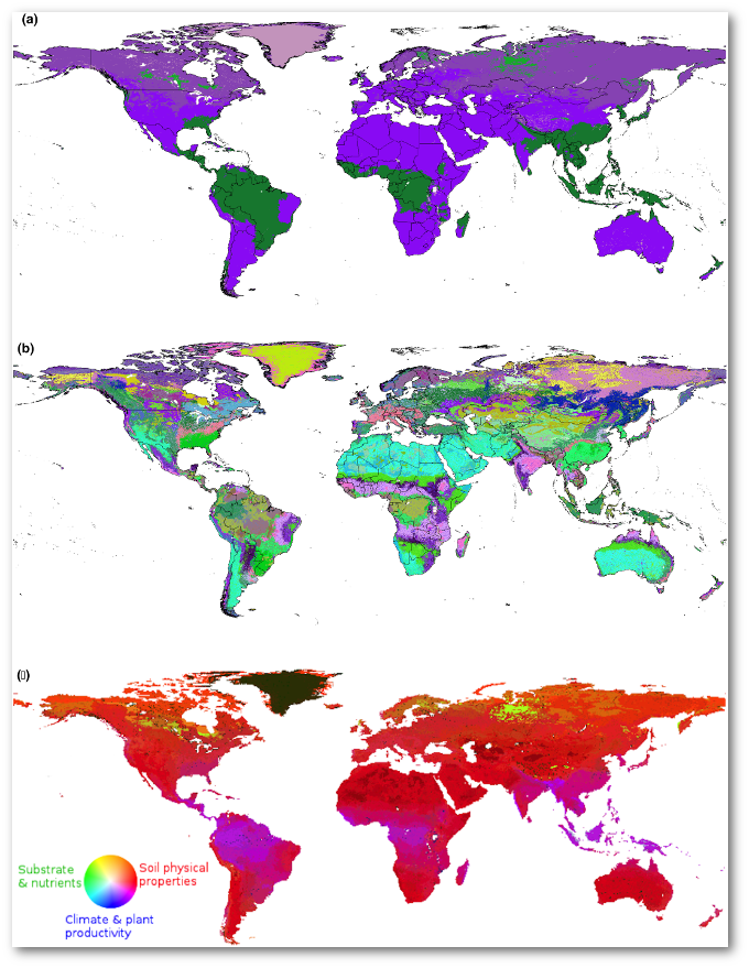 Example cluster analyses delineating DFTs from 11 global climatic, edaphic, carbon flux, and topographic characteristics. Randomly colored maps show the (a) five and (b) 50 most-different land regions from simultaneous consideration of all 11 variables. Map (c ) is the 50-region map colored by three dominant, orthogonal PCA factors.
