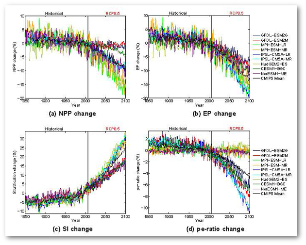 Shown above are time series of the percent changes in net primary production, export production, and the particle export ratio and stratification over the period 1850-2100 (each relative to their 1990s means).