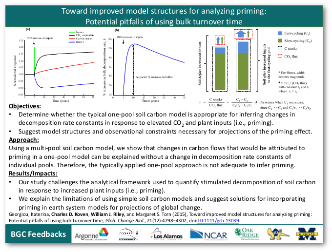 Toward improved model structures for analyzing priming: Potential pitfalls of using bulk turnover time