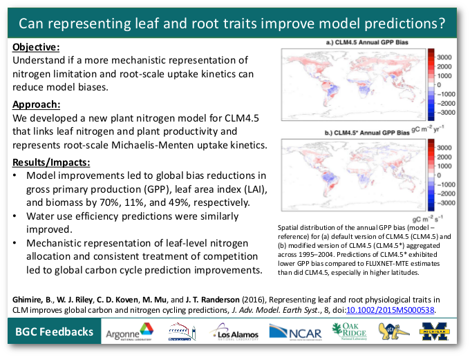 Can representing leaf and root traits improve model predictions?