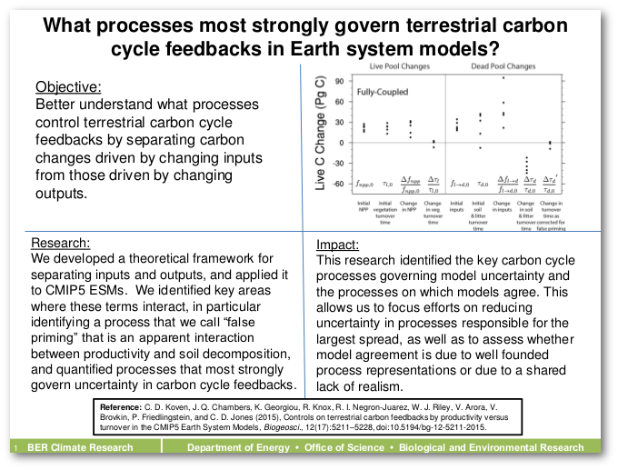 What processes most strongly govern terrestrial carbon cycle feedbacks in Earth system models?