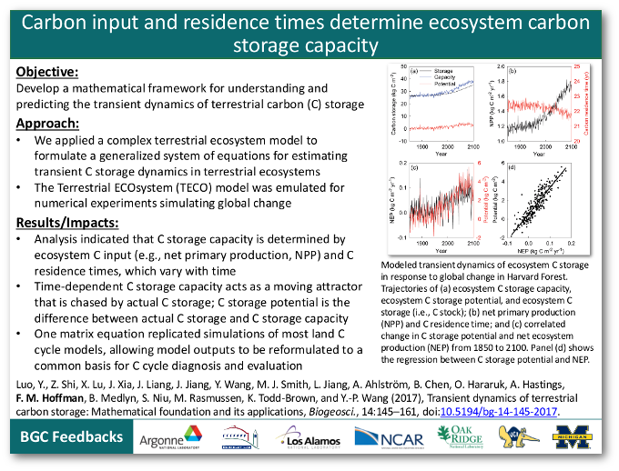 Carbon input and residence times determine ecosystem carbon storage capacity