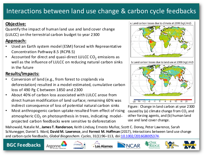Interactions between land use change and carbon cycle feedbacks