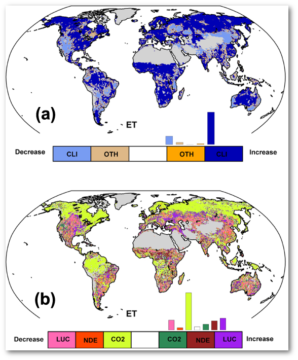 Spatial distribution of the dominant drivers for the ET. (a) Dominant drivers for the natural and human-induced ET, and (b) dominant drivers for the human-induced ET. CLI: the impact from historical climate only, OTH: all anthropogenic impacts, CO<sub>2</sub>: the historical CO<sub>2</sub> impact only, NDE: the historical nitrogen deposition impact only, LUC: the historical land use/land cover change impact only.