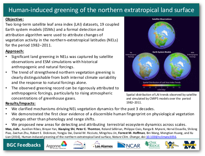 Human-induced greening of the northern extratropical land surface