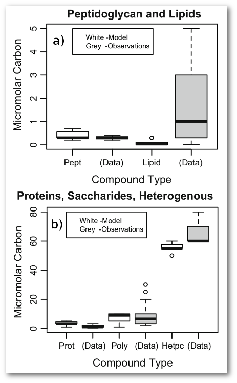 Comparisons of modeled versus measured global macromolecule concentrations.