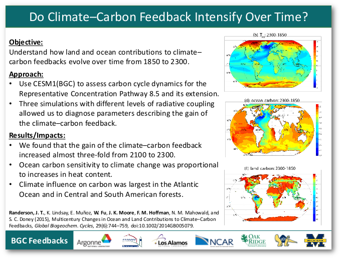 Do Climate–Carbon Feedbacks Intensify over Time?