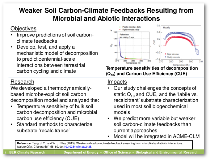 Weaker Soil Carbon-Climate Feedbacks Resulting from Microbial and Abiotic Interactions