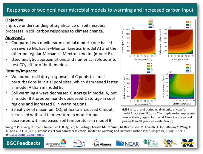 Responses of two nonlinear microbial models to warming and increased carbon input
