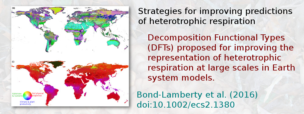 Strategies for improving predictions of heterotrophic respiration. Decomposition Functional Types (DFTs) proposed for improving the representation of heterotrophic respiration at large scales in Earth system models. Bond-Lamberty et al. (2016), doi:10.1002/ecs2.1380.