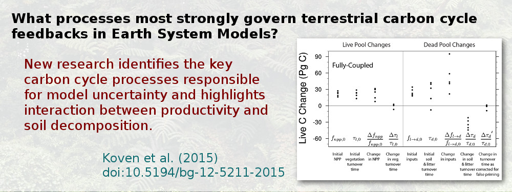 What processes most strongly govern terrestrial carbon cycle feedbacks in Earth System Models? New research identifies the key carbon cycle processes responsible for model uncertainty and highlights interaction between productivity and soil decomposition. Koven et al. (2015), doi:10.5194/bg-12-5211-2015