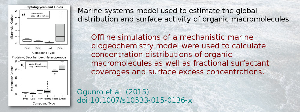 Marine systems model used to estimate the global distributions and surface activities of organic macromolecules. Offline simulations of a mechanistic marine biogeochemistry model were used to calculate concentration distributions of organic macromolecules as well as fractional surfactant coveraages and surface excess concentrations. Ogunro et al. (2015), doi:10.1007/s10533-015-0136-x