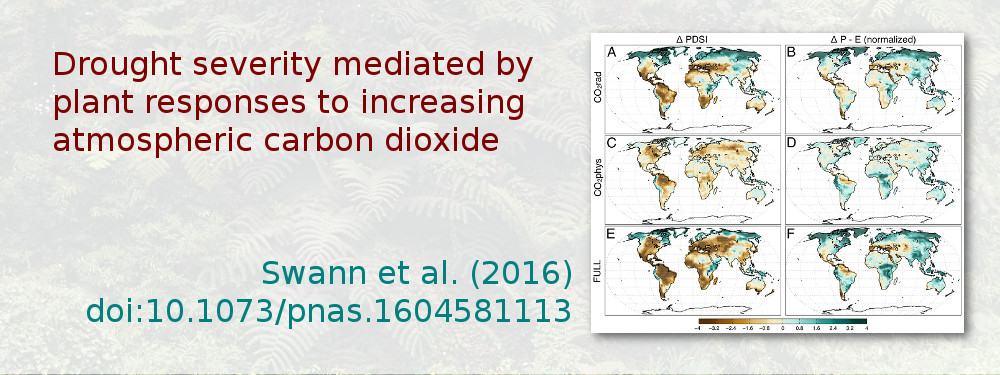 Drought severity mediated by plant responses to increasing atmospheric carbon dioxide. Swann et al. (2016), doi:10.1073/pnas.1604581113.