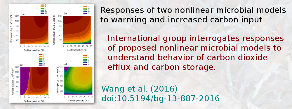 Responses of two nonlinear microbial models to warming and increased carbon input. International group interrogates responses of proposed nonlinear microbial models to understand behavior of carbon dioxide efflux and carbon storage. Wang et al. (2016), doi:10.5194/bg-13-887-2016.
